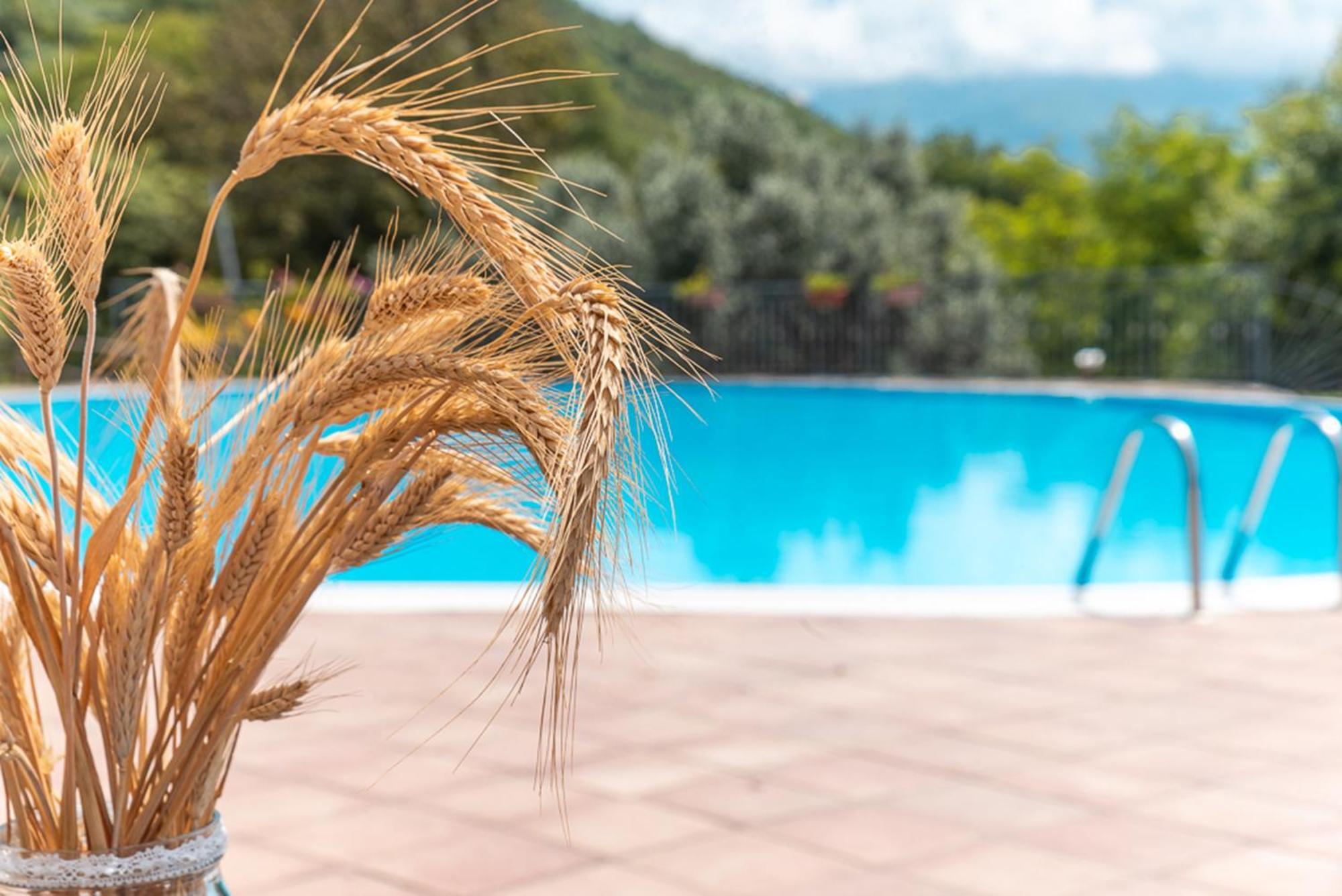 Agriturismo San Basilio Salento エクステリア 写真