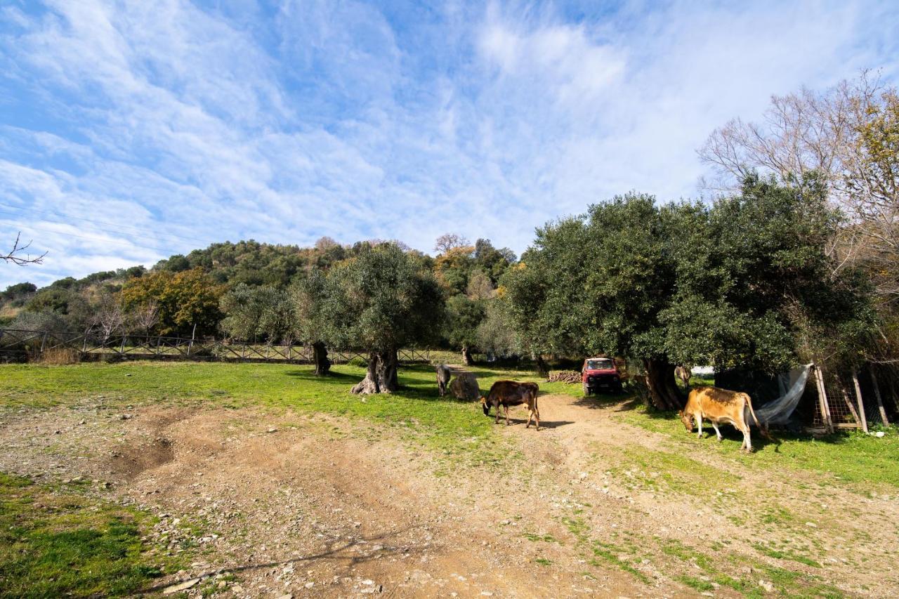 Agriturismo San Basilio Salento エクステリア 写真