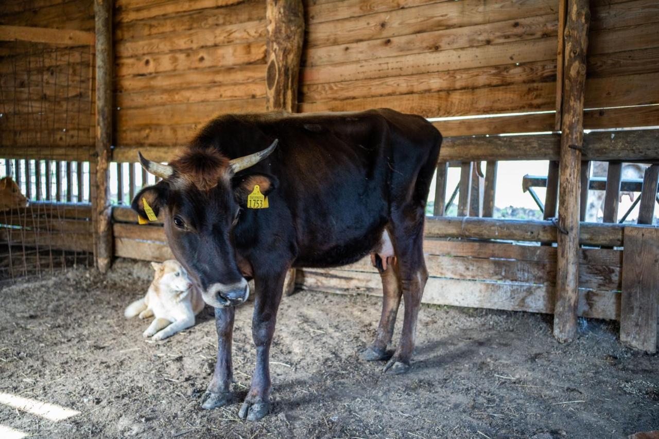 Agriturismo San Basilio Salento エクステリア 写真